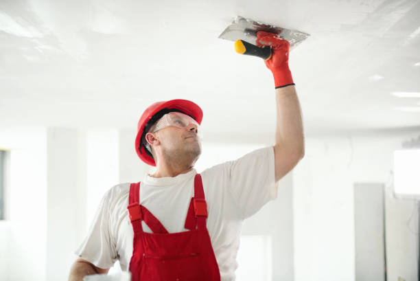 Best Remodeling Drywall  in USA